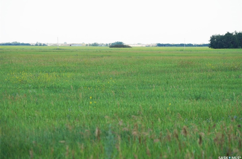 View of nature featuring a rural view