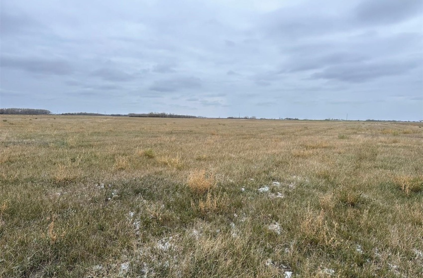 View of local wilderness featuring a rural view