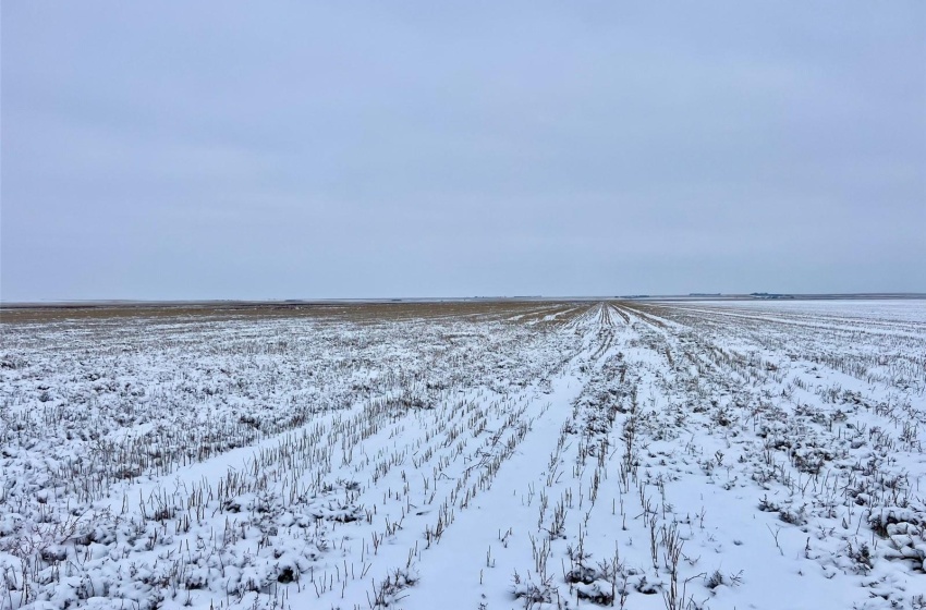 Rural Address, Wood River Rm No. 74, Saskatchewan S0H 4M0, ,Farm,For Sale,Woodrow 1/2 Section Grain Land,Rural Address,SK951141