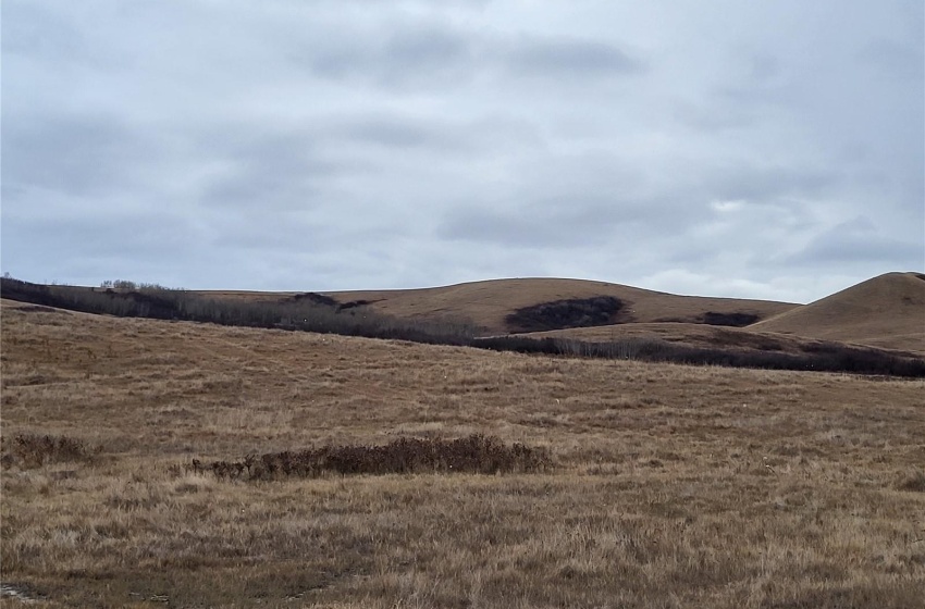 Rural Address, Round Valley Rm No. 410, Saskatchewan S0K 4L0, ,Farm,For Sale,Unity 318 acres Grain and Pastureland,Rural Address,SK951365