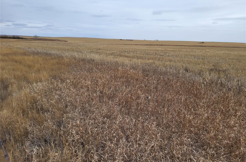 Rural Address, Round Valley Rm No. 410, Saskatchewan S0K 4L0, ,Farm,For Sale,Unity 318 acres Grain and Pastureland,Rural Address,SK951365