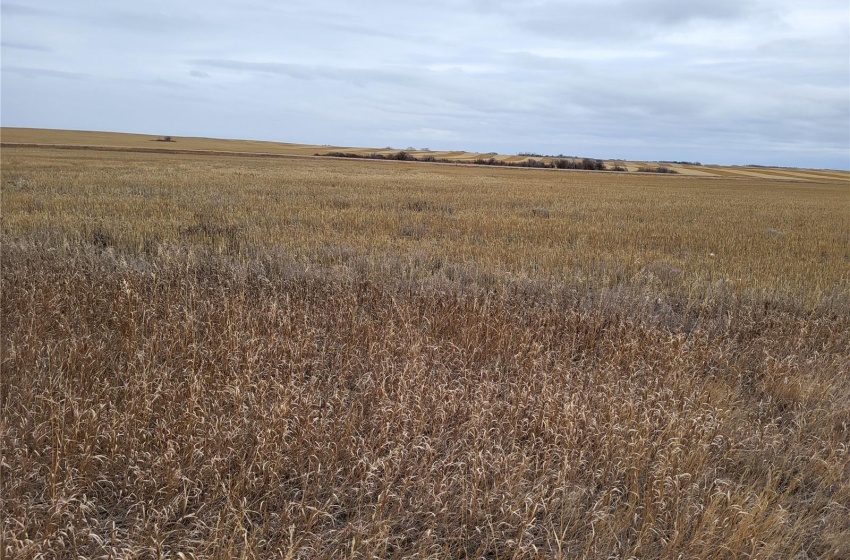 Rural Address, Round Valley Rm No. 410, Saskatchewan S0K 4L0, ,Farm,For Sale,Unity 318 acres Grain and Pastureland,Rural Address,SK951365