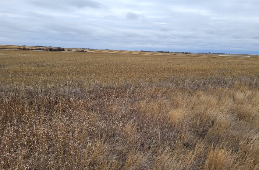 Rural Address, Round Valley Rm No. 410, Saskatchewan S0K 4L0, ,Farm,For Sale,Unity 318 acres Grain and Pastureland,Rural Address,SK951365