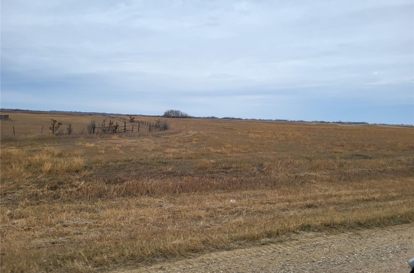 Rural Address, Blaine Lake Rm No. 434, Saskatchewan S0J 0J0, ,Farm,For Sale,Blaine Lake 313 acres Mixed Farmland with Yard,Rural Address,SK951517