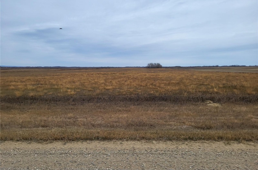 Rural Address, Blaine Lake Rm No. 434, Saskatchewan S0J 0J0, ,Farm,For Sale,Blaine Lake 313 acres Mixed Farmland with Yard,Rural Address,SK951517