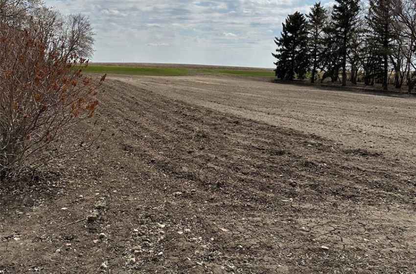 View of local wilderness with a rural view