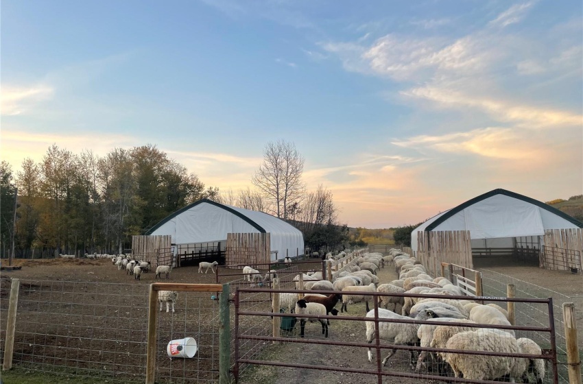 View of yard at dusk