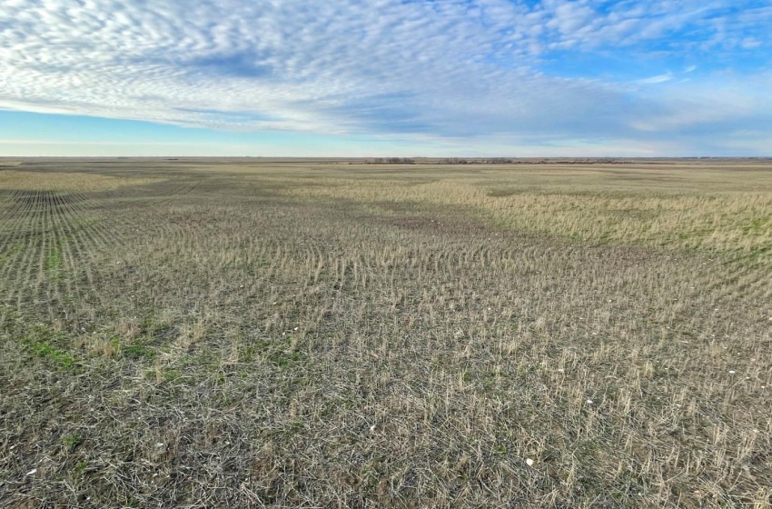 View of nature featuring a grain land