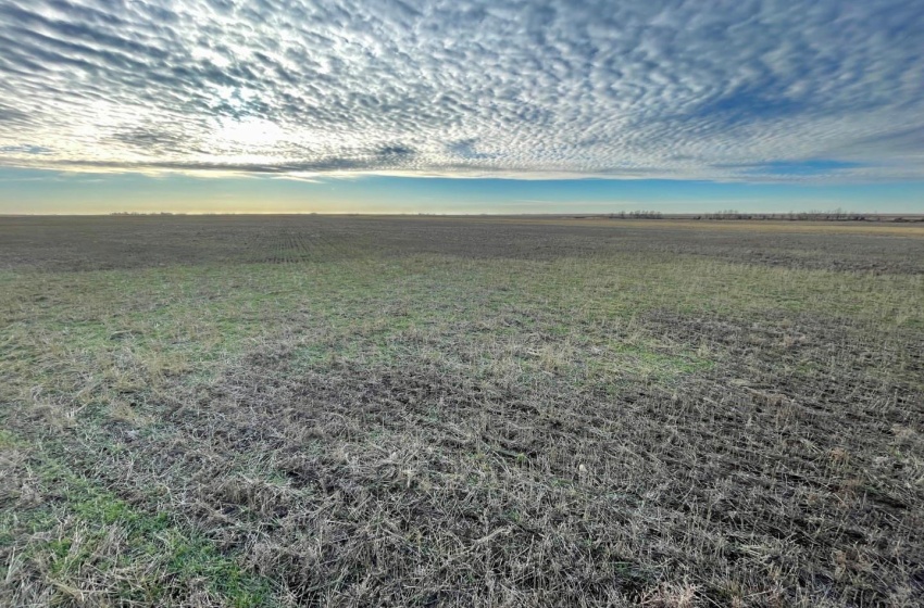 Rural Address, Willner Rm No. 253, Saskatchewan S0G 1A0, ,Farm,For Sale,Willner 318 acres Grain Farmland,Rural Address,SK952122