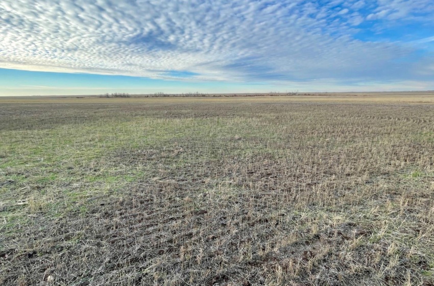 Rural Address, Willner Rm No. 253, Saskatchewan S0G 1A0, ,Farm,For Sale,Willner 318 acres Grain Farmland,Rural Address,SK952122