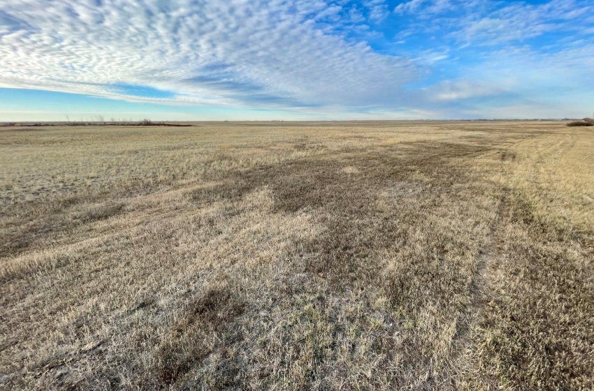 View of nature featuring a grain land