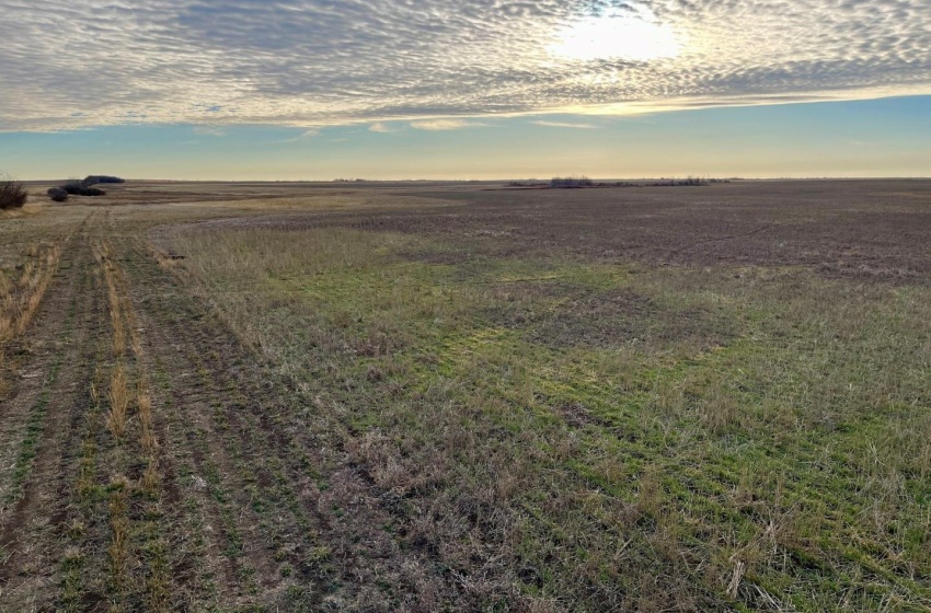 Rural Address, Willner Rm No. 253, Saskatchewan S0G 1A0, ,Farm,For Sale,Willner 318 acres Grain Farmland,Rural Address,SK952122