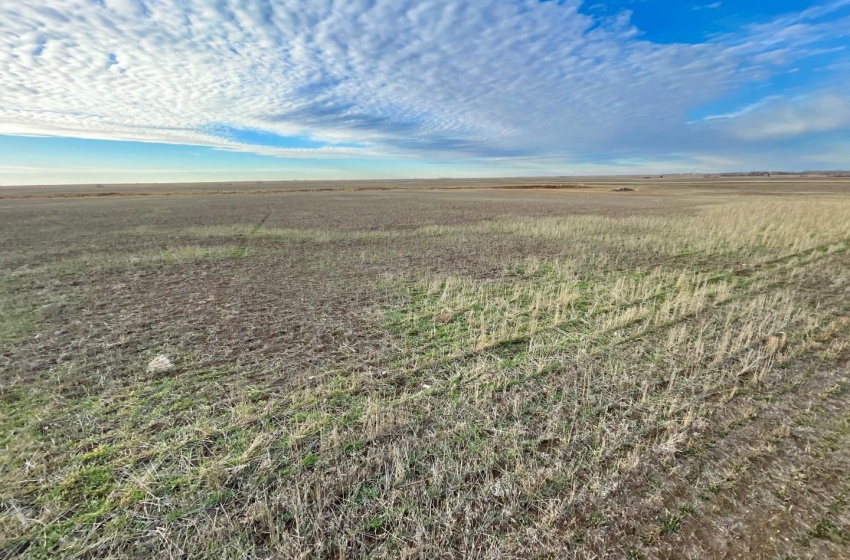 View of nature featuring a grain land