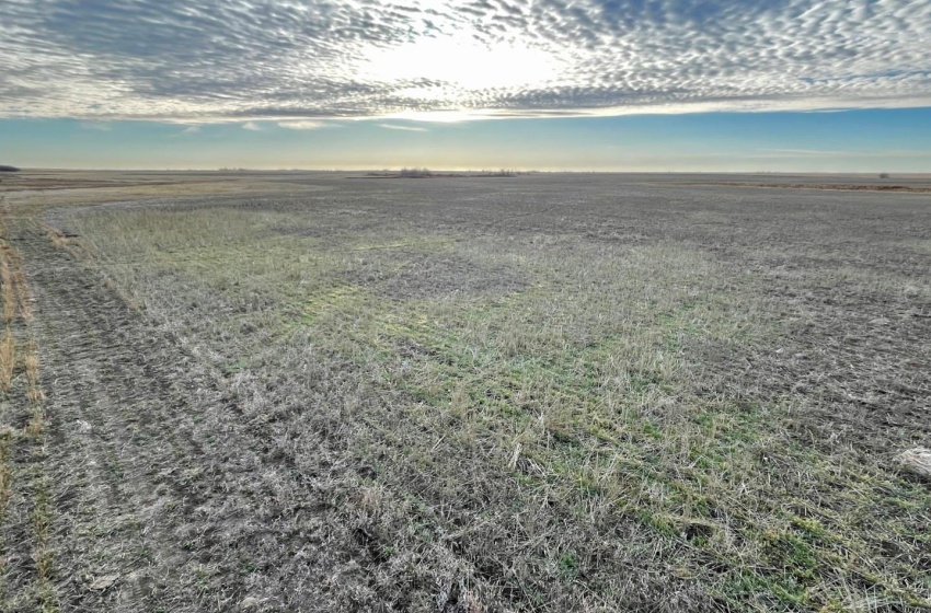 Rural Address, Willner Rm No. 253, Saskatchewan S0G 1A0, ,Farm,For Sale,Willner 318 acres Grain Farmland,Rural Address,SK952122