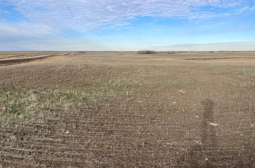 View of nature featuring a grain land