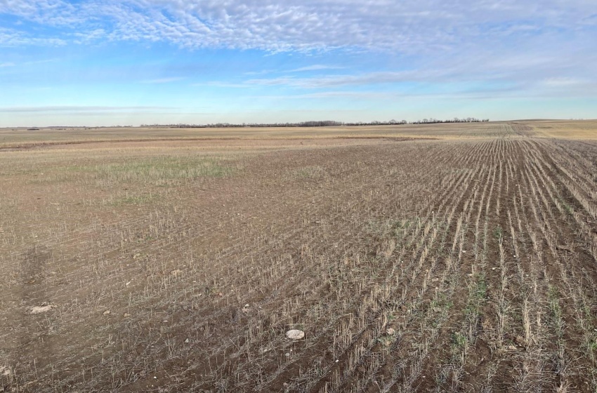 View of nature featuring a grain land