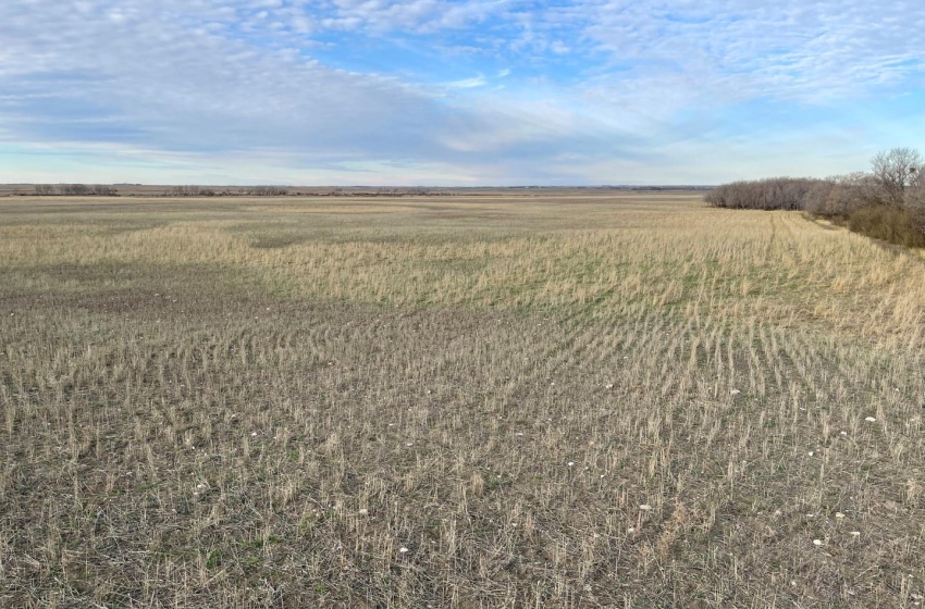 View of nature featuring a grain land