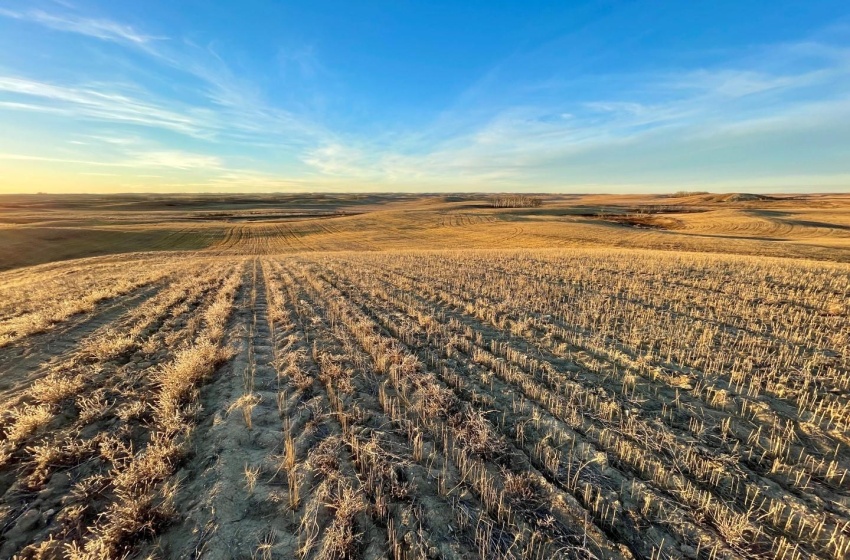 Rural Address, Biggar Rm No. 347, Saskatchewan S0K 0M0, ,Farm,For Sale,Biggar 475 acres Grainland (Phillip and Carrick),Rural Address,SK952232