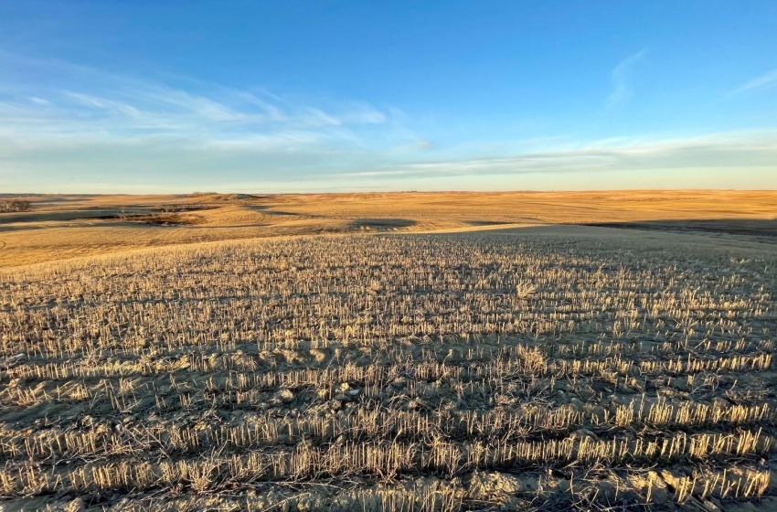 Rural Address, Biggar Rm No. 347, Saskatchewan S0K 0M0, ,Farm,For Sale,Biggar 475 acres Grainland (Phillip and Carrick),Rural Address,SK952232