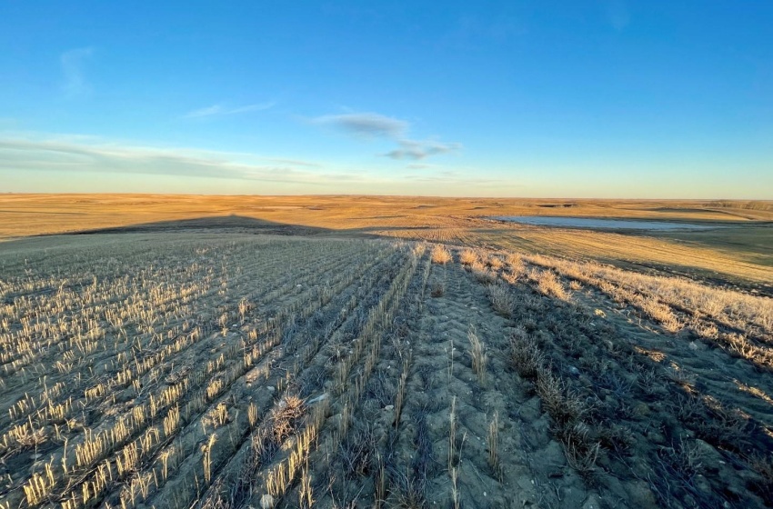 Bird's eye view with a grainland