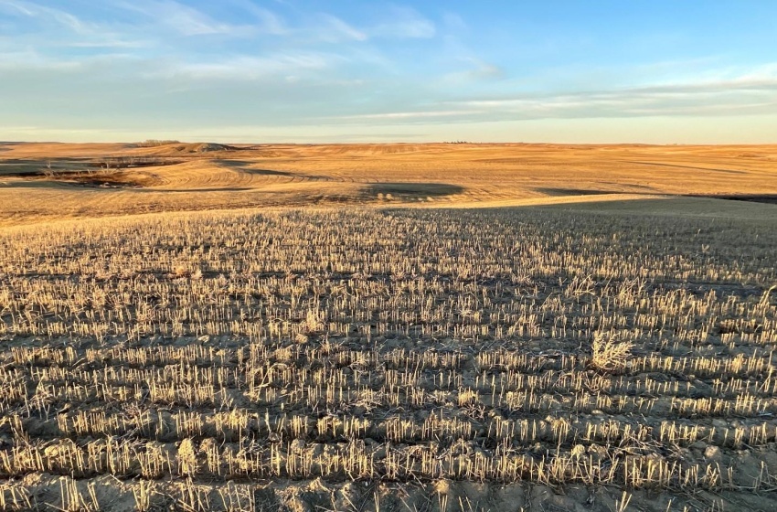 Aerial view featuring a grainland