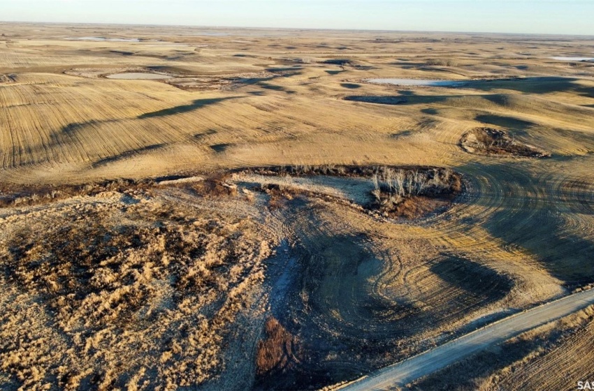 View of bird's eye view