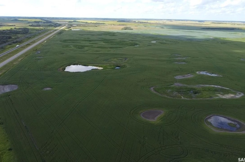 View of bird's eye view