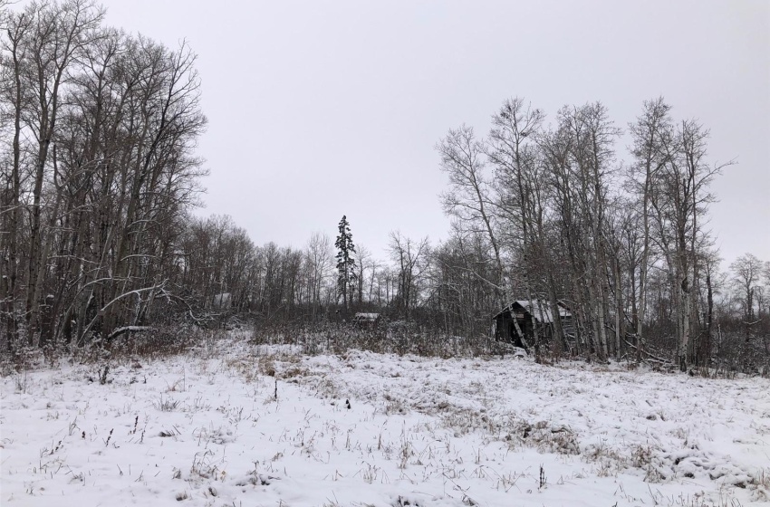 View of snowy landscape