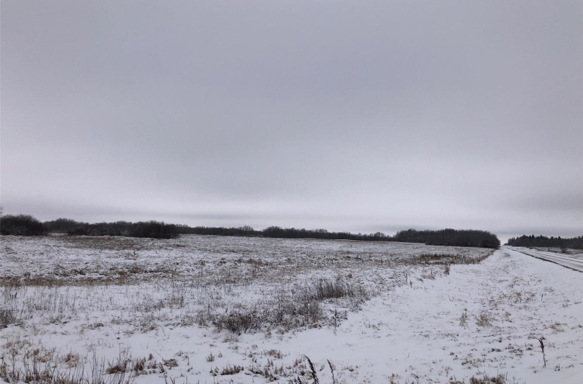 View of snowy landscape