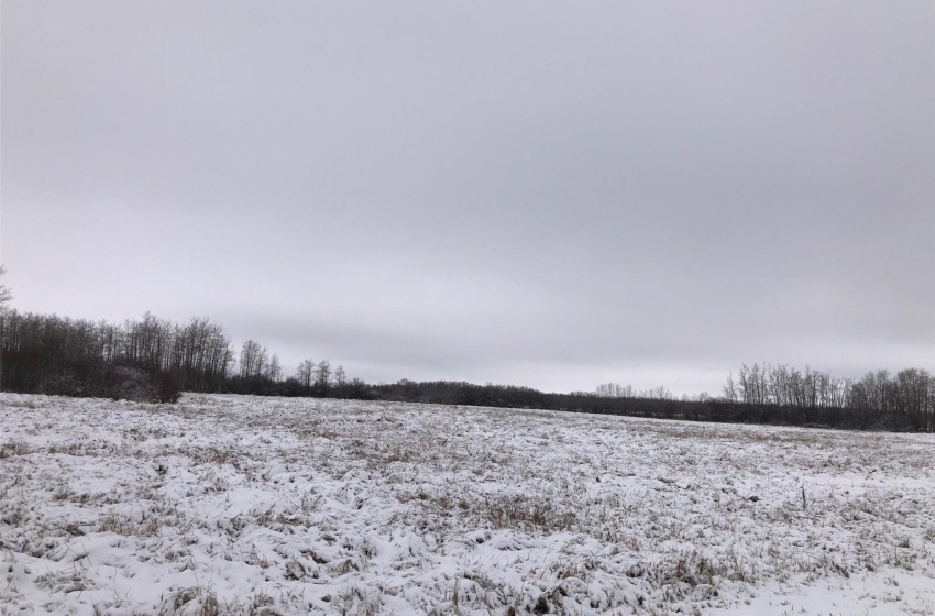 View of snow covered land