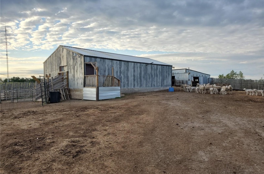 Rural Address, Longlaketon Rm No. 219, Saskatchewan S0G 4P0, 1 Bedroom Bedrooms, ,1 BathroomBathrooms,Farm,For Sale,Southey 479 ac. Grain Farmland & Sheep Facilit,Rural Address,SK953052