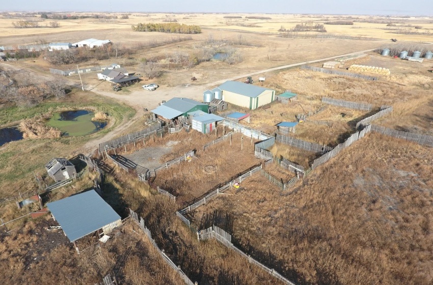 Rural Address, Longlaketon Rm No. 219, Saskatchewan S0G 4P0, 1 Bedroom Bedrooms, ,1 BathroomBathrooms,Farm,For Sale,Southey 479 ac. Grain Farmland & Sheep Facilit,Rural Address,SK953052