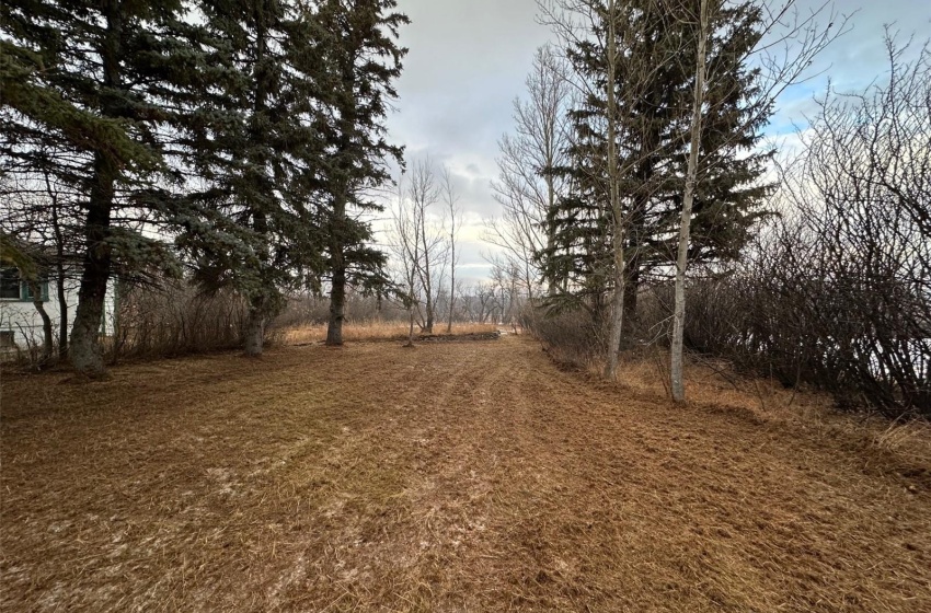 404 1st STREET, Findlater, Saskatchewan S0G 1P0, 2 Bedrooms Bedrooms, 5 Rooms Rooms,1 BathroomBathrooms,Acreage,For Sale,Findlater Acreage,1st,SK953270