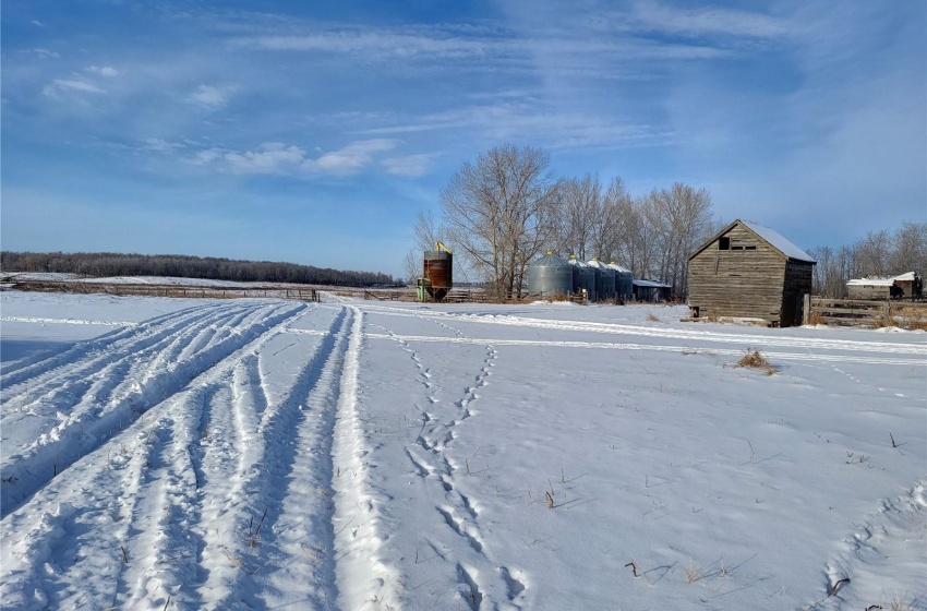 Rural Address, Buckland Rm No. 491, Saskatchewan S0J 1C0, 3 Bedrooms Bedrooms, ,3 BathroomsBathrooms,Farm,For Sale,RM 491 Buckland 160 ac House & Yard,Rural Address,SK954530