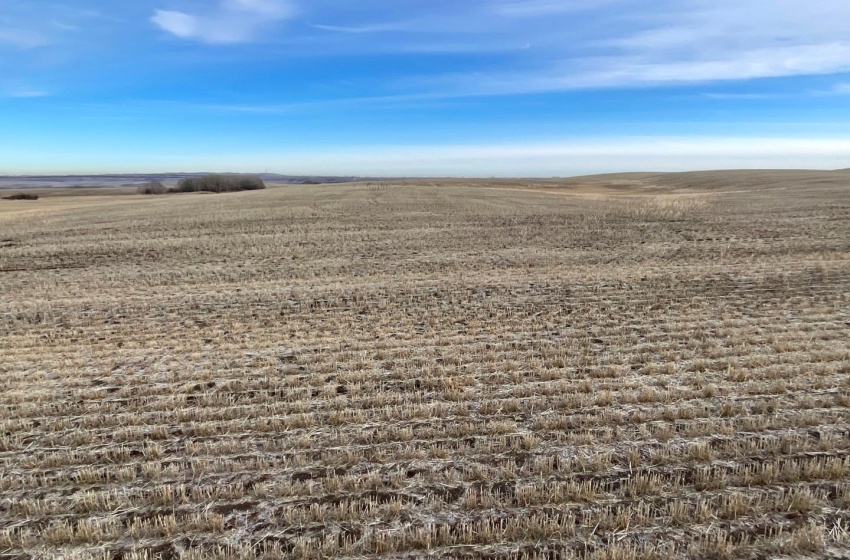 Rural Address, Eagle Creek Rm No. 376, Saskatchewan S0K 4B0, 2 Bedrooms Bedrooms, ,1 BathroomBathrooms,Farm,For Sale,RM of Eagle Creek 160 acres Farmland (Ollenberg),Rural Address,SK954516