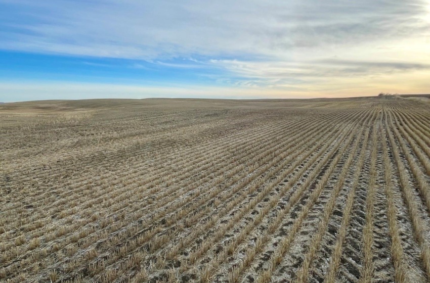 Rural Address, Eagle Creek Rm No. 376, Saskatchewan S0K 4B0, 2 Bedrooms Bedrooms, ,1 BathroomBathrooms,Farm,For Sale,RM of Eagle Creek 160 acres Farmland (Ollenberg),Rural Address,SK954516