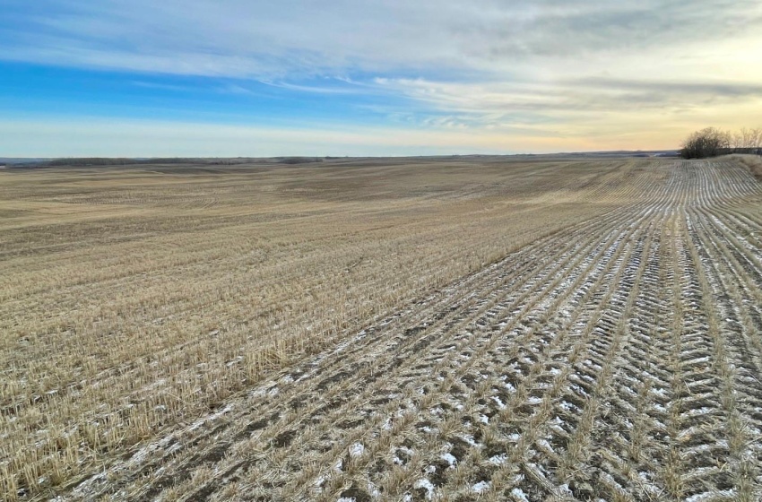 Rural Address, Eagle Creek Rm No. 376, Saskatchewan S0K 4B0, 2 Bedrooms Bedrooms, ,1 BathroomBathrooms,Farm,For Sale,RM of Eagle Creek 160 acres Farmland (Ollenberg),Rural Address,SK954516