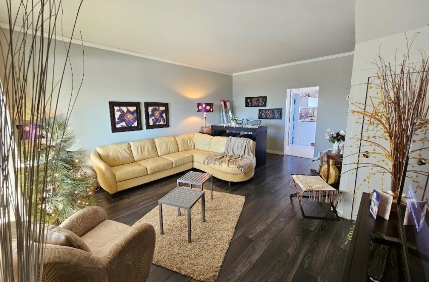 Living room with laminate / wood-style floors and crown molding