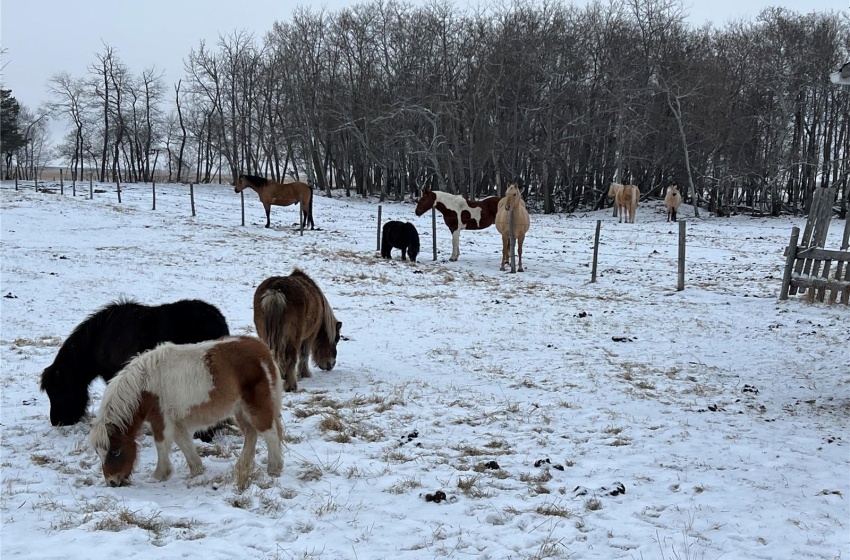 Rural Address, Spalding Rm No. 368, Saskatchewan S0K 4C0, 3 Bedrooms Bedrooms, 11 Rooms Rooms,2 BathroomsBathrooms,Acreage,For Sale,Spalding Acreage,Rural Address,SK955828