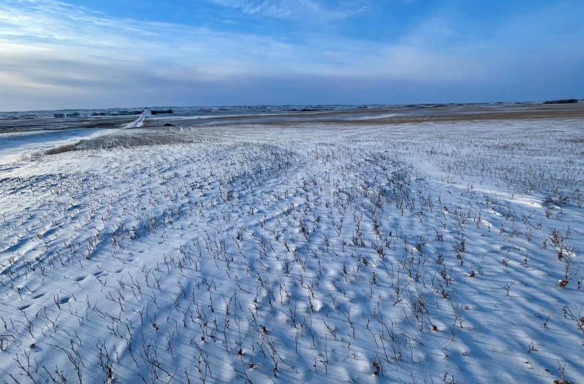 Rural Address, Biggar Rm No. 347, Saskatchewan S0K 0M0, ,Farm,For Sale,Biggar 159 Acres Grain Farmland (Worthington),Rural Address,SK955957