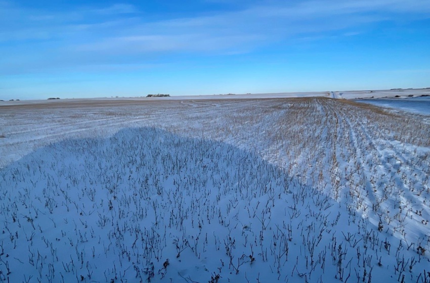 Rural Address, Biggar Rm No. 347, Saskatchewan S0K 0M0, ,Farm,For Sale,Biggar 159 Acres Grain Farmland (Worthington),Rural Address,SK955957