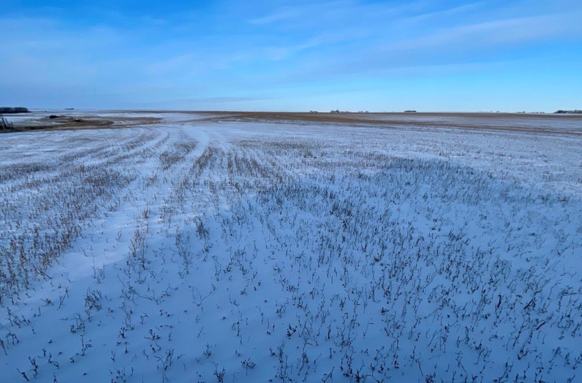 Rural Address, Biggar Rm No. 347, Saskatchewan S0K 0M0, ,Farm,For Sale,Biggar 159 Acres Grain Farmland (Worthington),Rural Address,SK955957