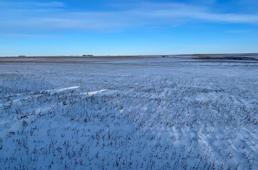 Rural Address, Biggar Rm No. 347, Saskatchewan S0K 0M0, ,Farm,For Sale,Biggar 159 Acres Grain Farmland (Worthington),Rural Address,SK955957