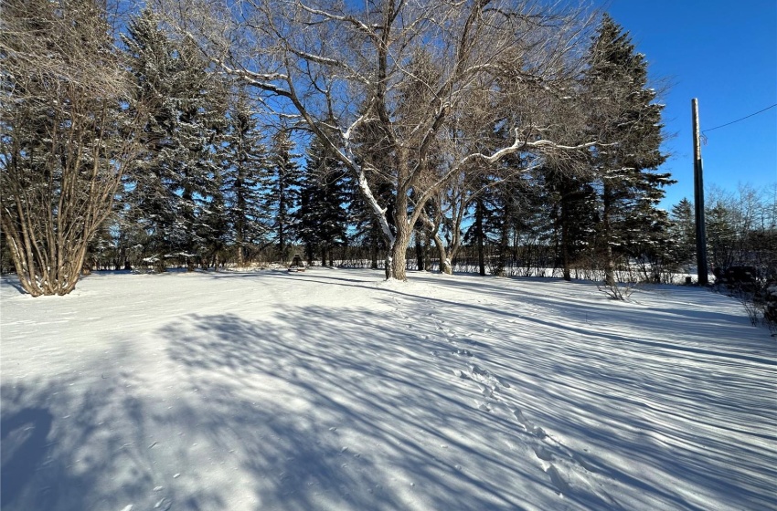 Beautiful front yard with mature trees with lots of summer shade.