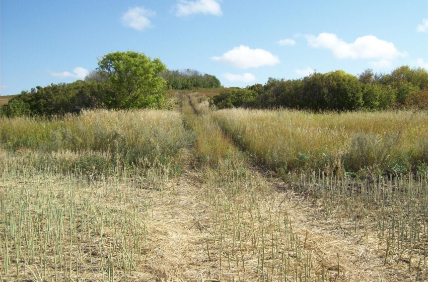 Rural Address, Aberdeen Rm No. 373, Saskatchewan S0K 0A0, ,Farm,For Sale,Porter Lake 132 Scenic Acres Aberdeen,Rural Address,SK956201