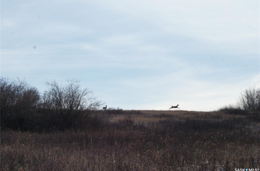 Rural Address, Aberdeen Rm No. 373, Saskatchewan S0K 0A0, ,Farm,For Sale,Porter Lake 132 Scenic Acres Aberdeen,Rural Address,SK956201