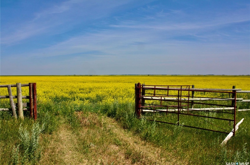 Rural Address, Blucher Rm No. 343, Saskatchewan S0K 0Y0, 3 Bedrooms Bedrooms, 12 Rooms Rooms,1 BathroomBathrooms,Acreage,For Sale,Reilly Farm, RM of Blucher,Rural Address,SK956342