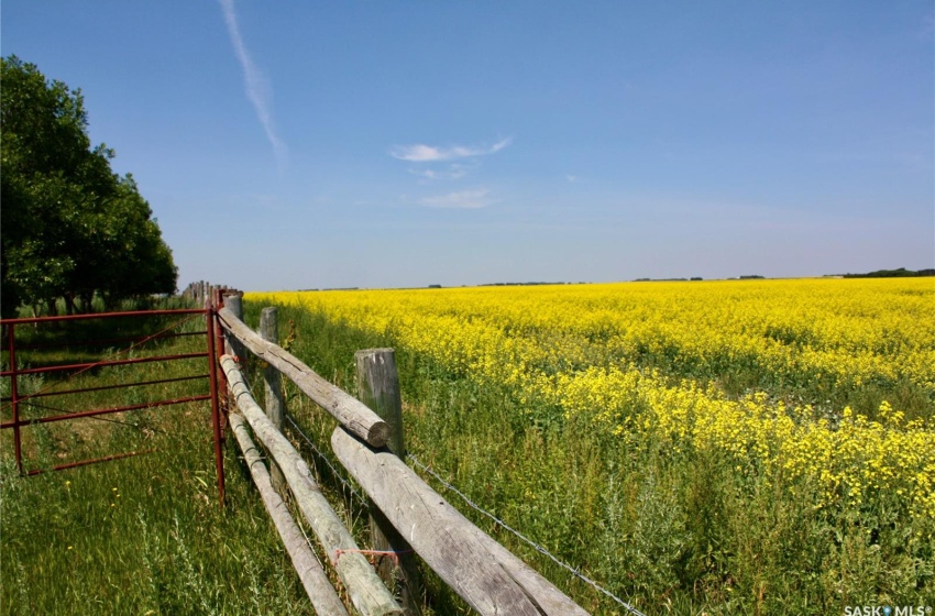 Rural Address, Blucher Rm No. 343, Saskatchewan S0K 0Y0, 3 Bedrooms Bedrooms, 12 Rooms Rooms,1 BathroomBathrooms,Acreage,For Sale,Reilly Farm, RM of Blucher,Rural Address,SK956342