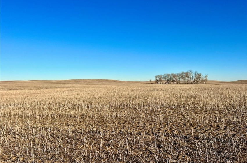 Rural Address, Marriott Rm No. 317, Saskatchewan S0L 0E8, ,Farm,For Sale,Harris 2,388 acres Grain Farmland,Rural Address,SK956301