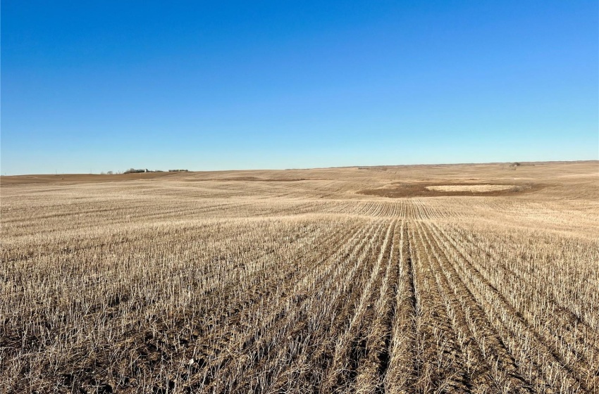 Rural Address, Marriott Rm No. 317, Saskatchewan S0L 0E8, ,Farm,For Sale,Harris 2,388 acres Grain Farmland,Rural Address,SK956301